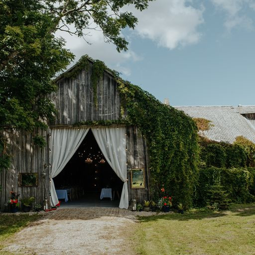 The Swans - place for celebration | Kuldiga Municipality | Event place - gallery picture