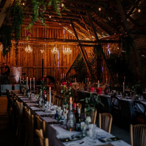 The Swans - place for celebration | Kuldiga Municipality | Event place - gallery picture