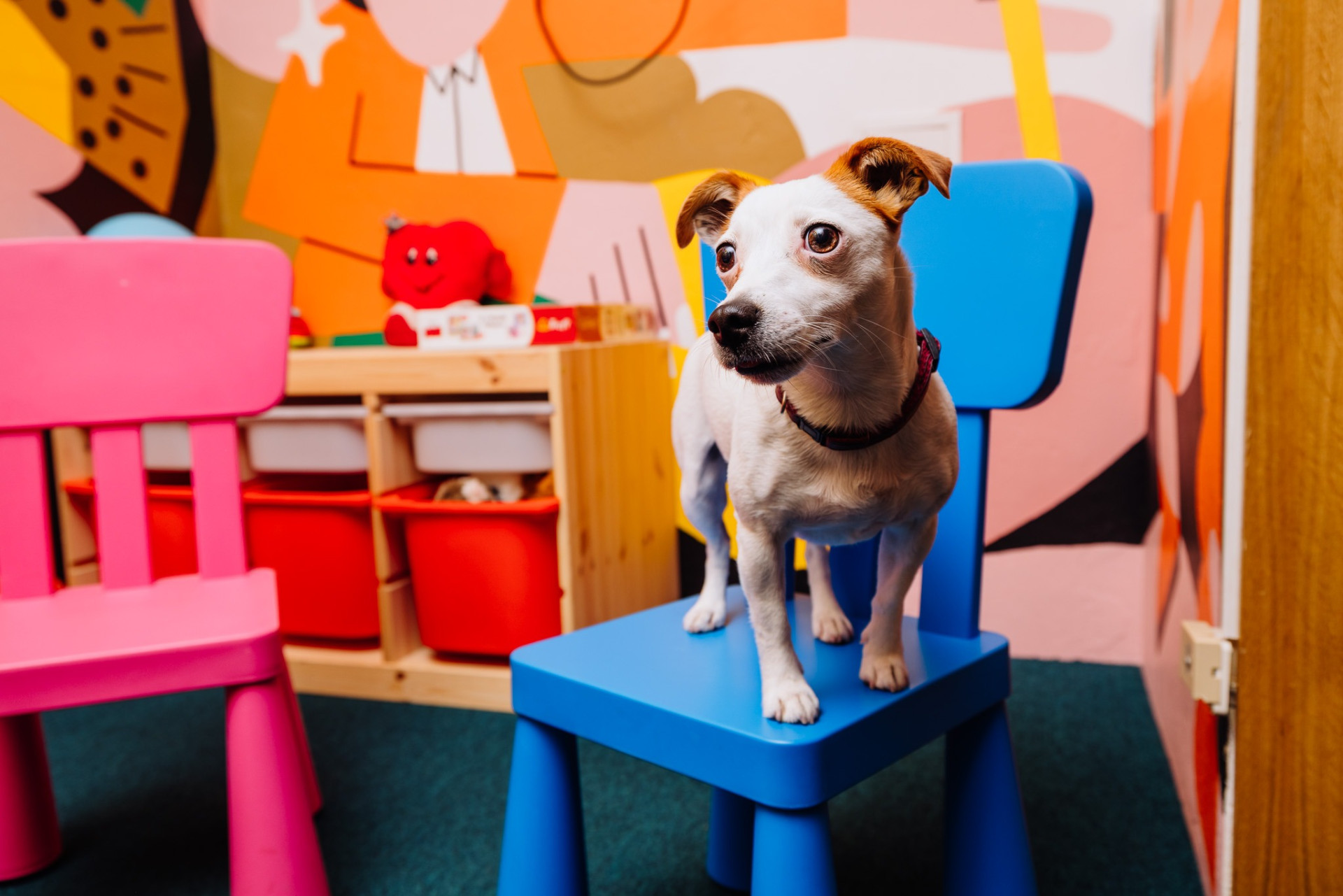 Hestia Hotel Draugi | Riga | Event place - gallery picture