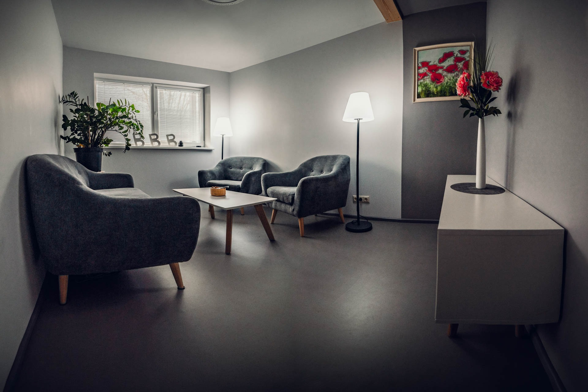 Conference rooms | Tiraine | Biznesa Vēstniecība | picture