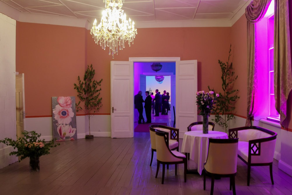 Conference rooms | Aizkraukle Municipality | Odziena Manor | picture