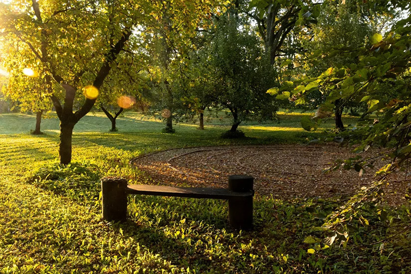 Liepas muiža | Cēsu novads | Pasākumu vieta - galerijas bilde