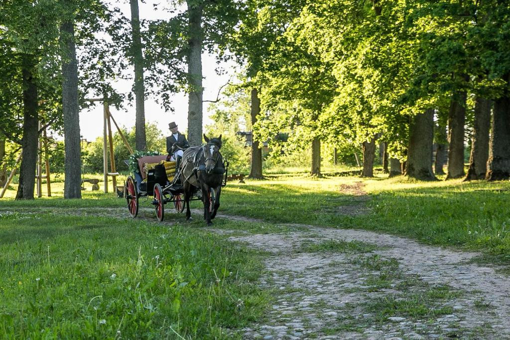 Liepas muiža | Cēsu novads | Pasākumu vieta - galerijas bilde